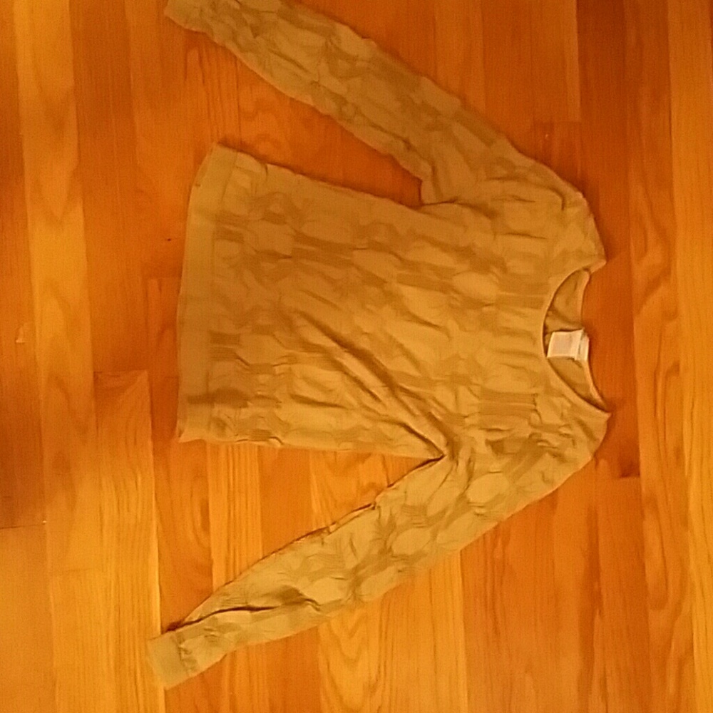Embroidered brownish tan sweater